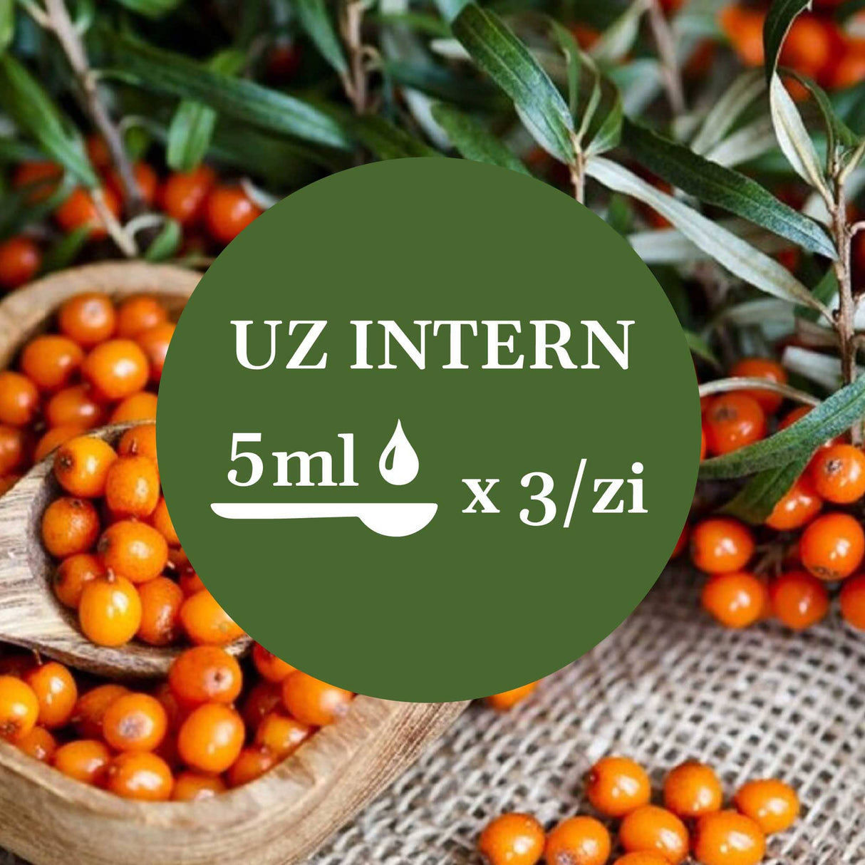 Imagine de fundal cu fructe de cătină, având un element grafic circular de culoare verde închis cu un text în mijloc sugerând administrarea prin uz intern a câte 5 ml de 3 ori pe zi.