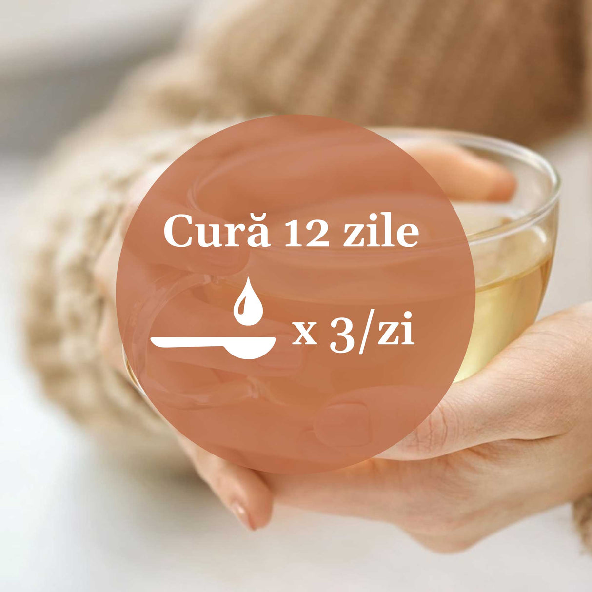 Imagine de fundal cu mâinile unei persoane care se bucură de o cană de ceai, având un element grafic circular de culoare maro deschis cu un text în mijloc sugerând aplicarea unei cure de 12 zile prin administrarea prin uz intern de 3 ori pe zi.