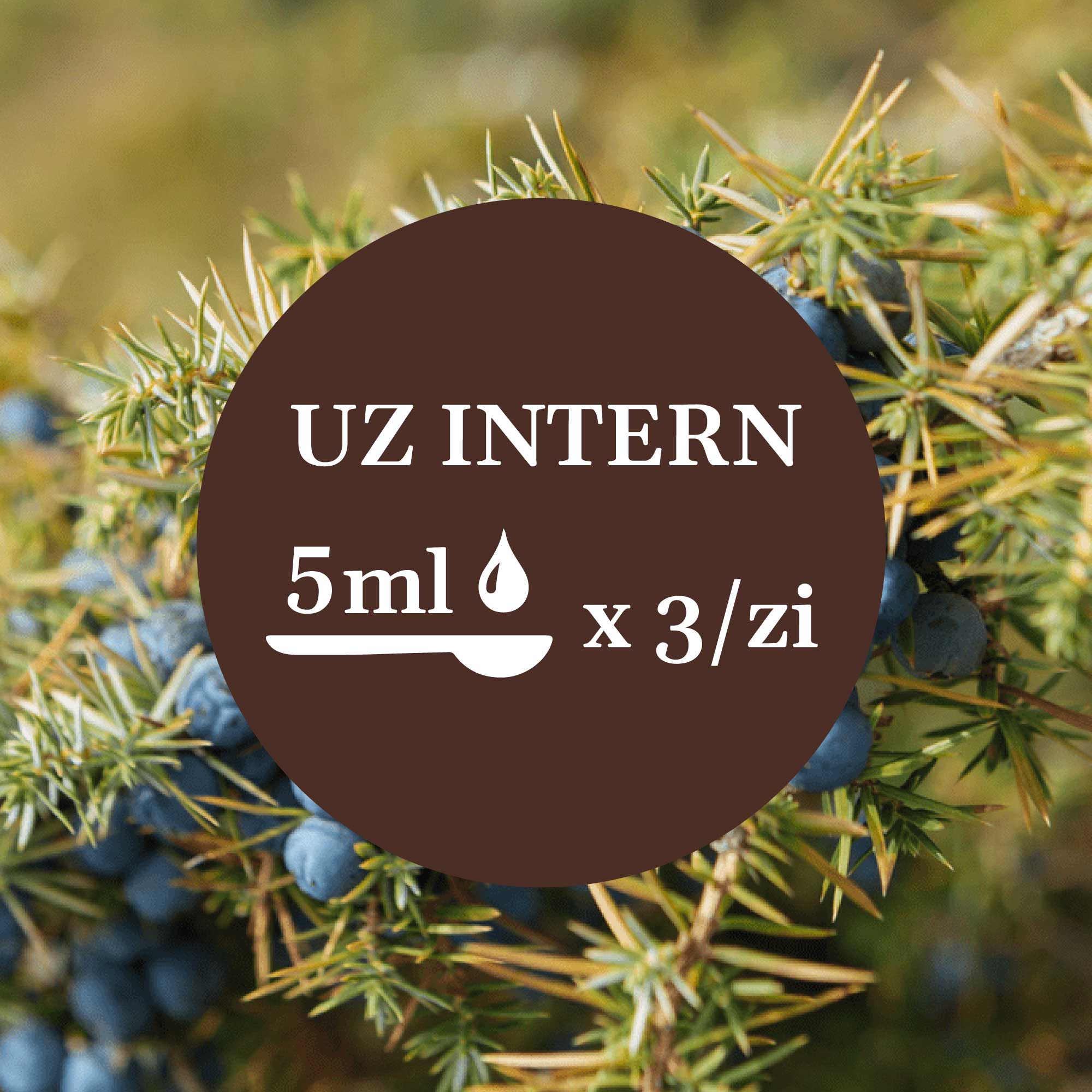 Imagine de fundal cu flori și frunze de ienupăr, având un element grafic circular de culoare maro închis cu un text în mijloc sugerând administrarea prin uz intern a câte 5 ml de 3 ori pe zi.