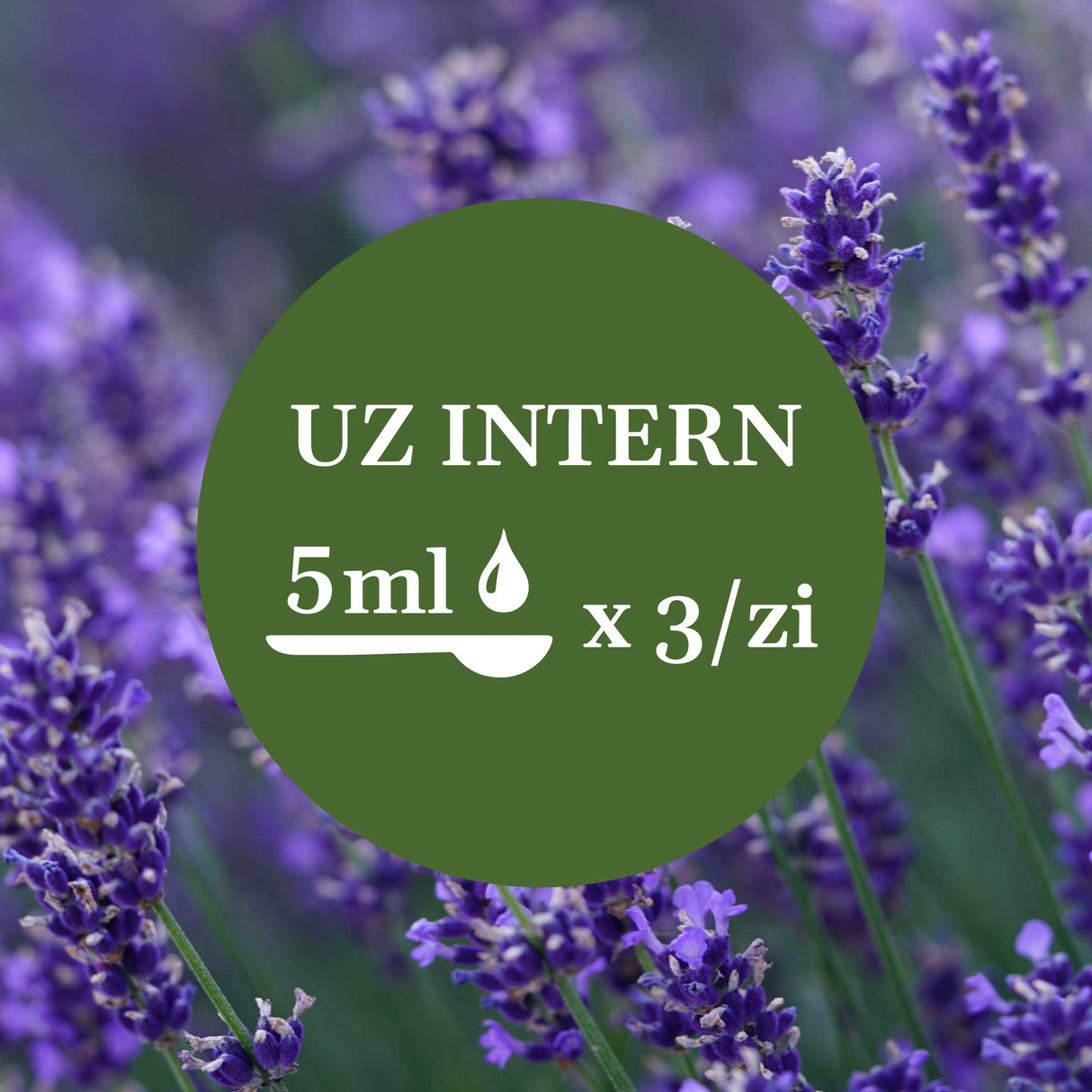 Imagine de fundal cu flori și frunze de lavandă, având un element grafic circular de culoare verde închis cu un text în mijloc sugerând administrarea prin uz intern a câte 5 ml de 3 ori pe zi.