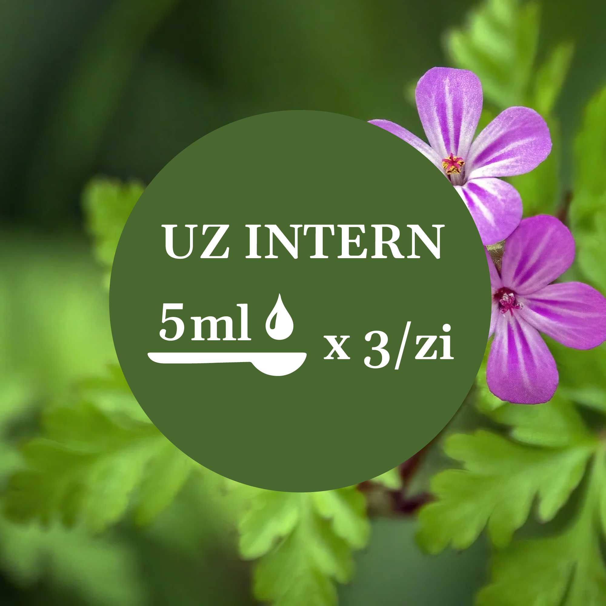Imagine de fundal cu flori și frunze de năpraznic, având un element grafic circular de culoare verde închis cu un text în mijloc sugerând administrarea prin uz intern a câte 5 ml de 3 ori pe zi.