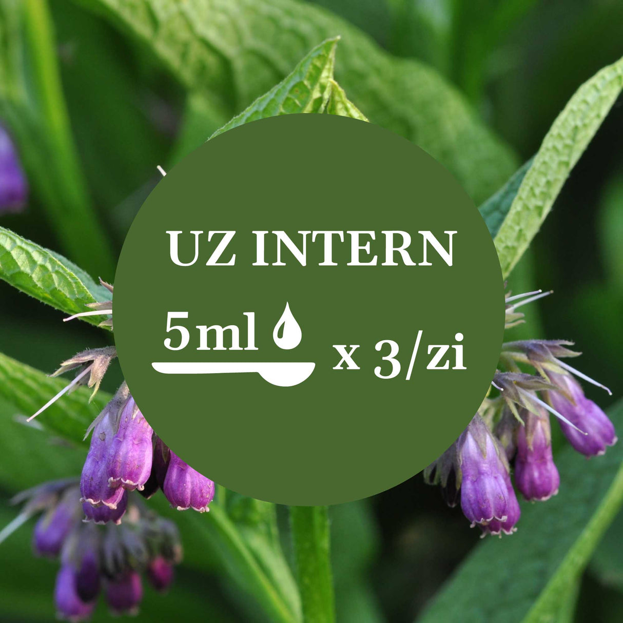 Modul de administrare a Tincturii Tătăneaă 200 ml: recomandare pentru uz intern, administrare 5ml de 3 ori pe zi. În imaginea de fundal, frunze și flori de tătăneasă.