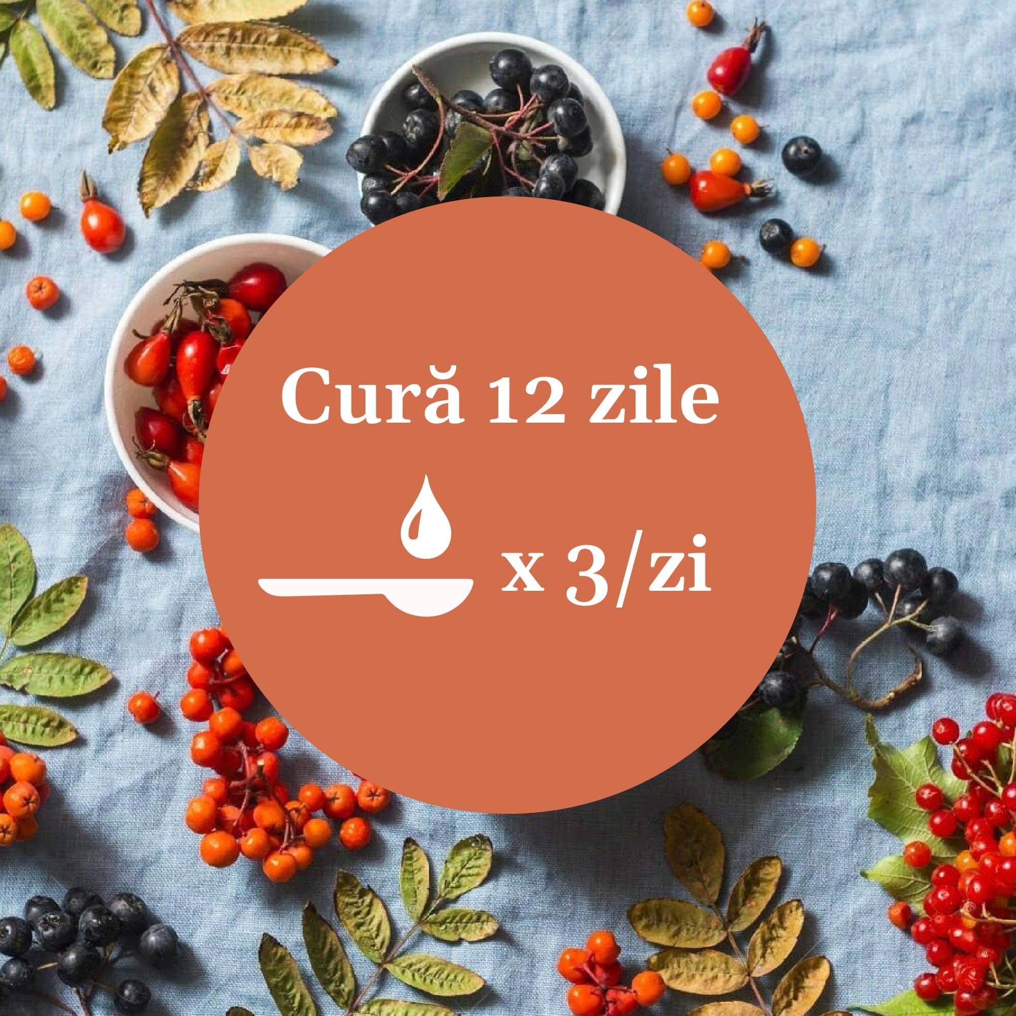 Imagine de ambient cu ingrediente din Siropul Vitaminizantus, având element grafic circular cu un text în mijloc despre cura de 12 zile cu Sirop Vitaminizantus 200ml, sugerând 1 linguriță de 3 ori pe zi.