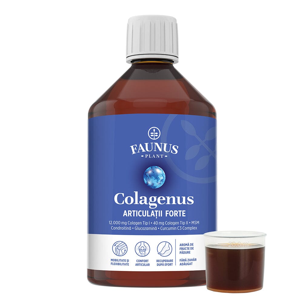 Colagenus Articulații Forte - Colagen lichid concentrat, 12.000mg colagen tip 1 și 40mg colagen tip 2. Flacon 500ml. Susține sănătatea articulațiilor, reducerea inflamațiilor și durerii reumatice, refacerea mușchilor și ligamentelor Supliment alimentar Faunus Plant