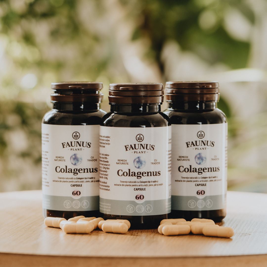 Trei flacoane de Colagenus Capsule de la Faunus Plant, pe o masă de lemn rotundă. În fața lor se află câteva capsule, iar pe fundal se disting câteva plante decorative.
