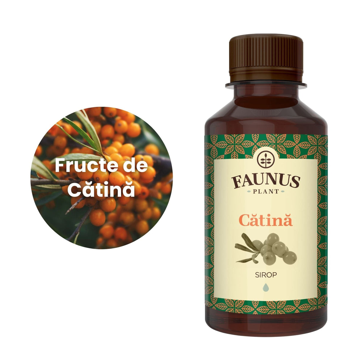 Reprezentare grafică a ingredientului principal al suplimentului, și anume cătina, în chenar alb, având în partea dreaptă flaconul de Sirop Cătină 200ml