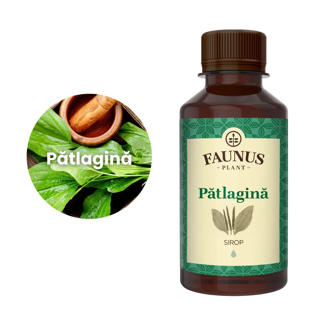 Imagine trunchiată într-o formă de cerc a ingredientului principal al suplimentului, și anume pătlagina, în chenar alb, având în partea dreaptă flaconul de Sirop de Pătlagină 200 ml