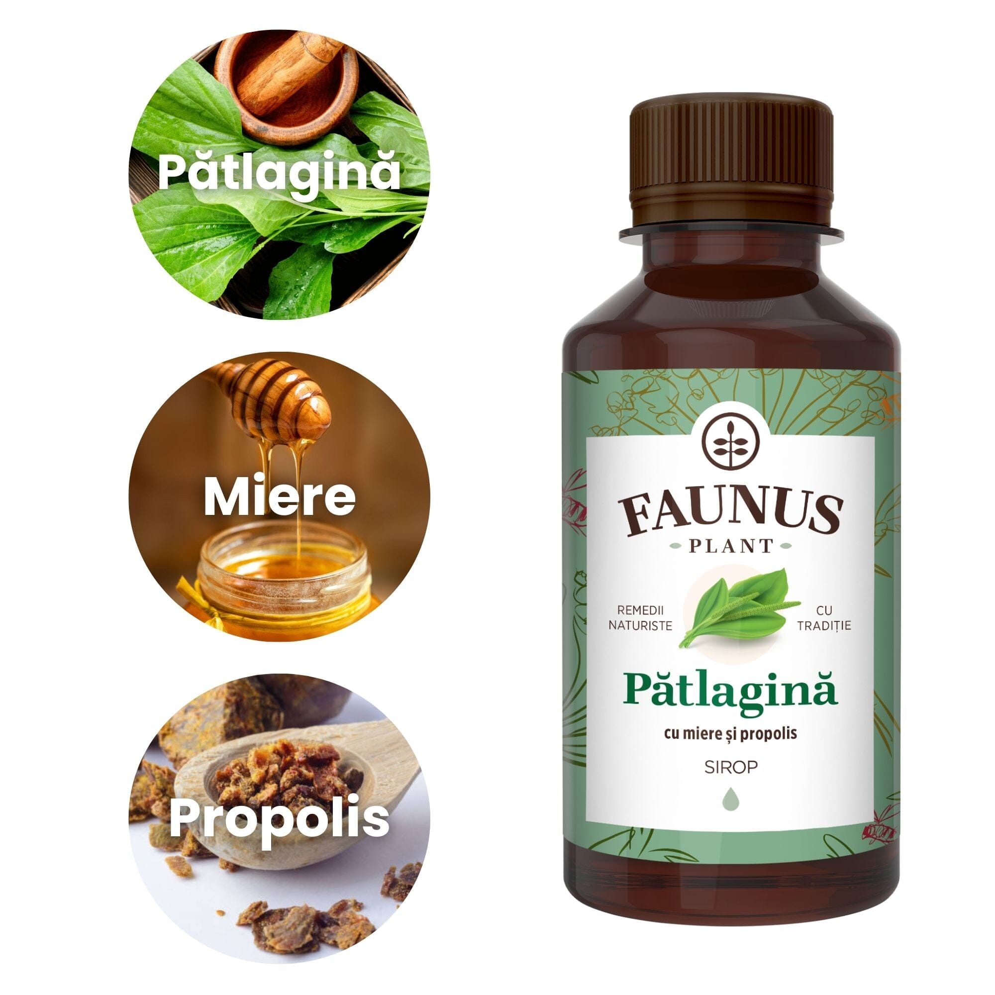Imagini tip medalion ale ingredientelor principale ale suplimentului, și anume pătlagina, mierea și propolisul, toate așezate în ordinea descrisă, în chenar alb, având în partea dreaptă flaconul de Sirop Pătlagină cu Miere și Propolis