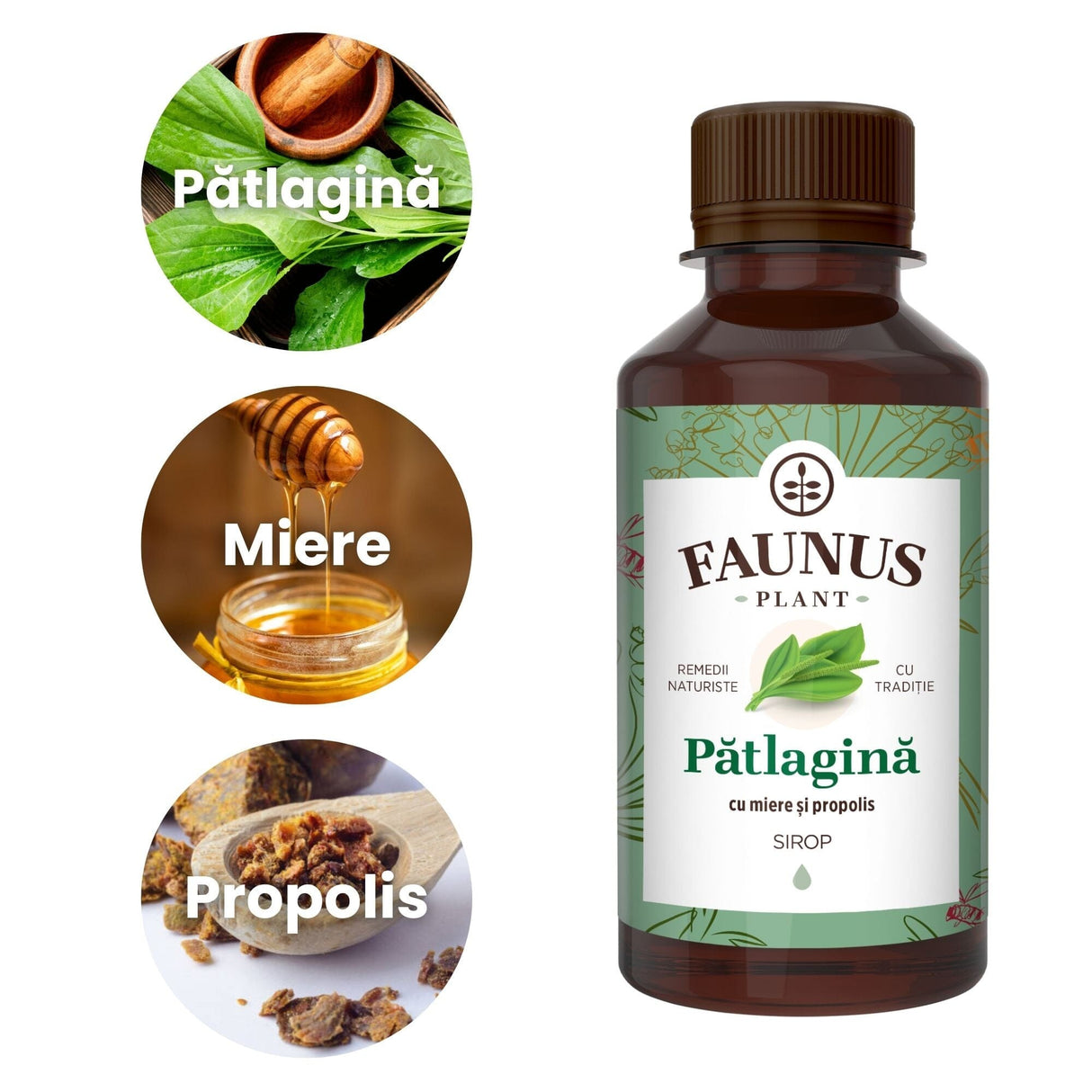 Imagini tip medalion ale ingredientelor principale ale suplimentului, și anume pătlagina, mierea și propolisul, toate așezate în ordinea descrisă, în chenar alb, având în partea dreaptă flaconul de Sirop Pătlagină cu Miere și Propolis