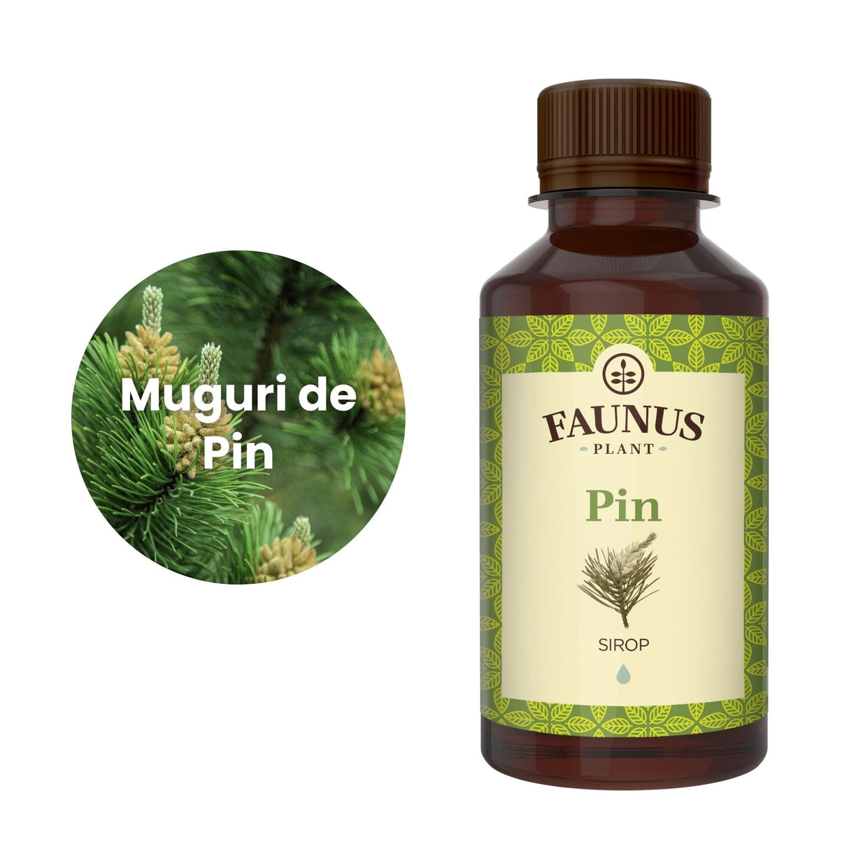 Reprezentare grafică a ingredientului principal al Siropului de Pin 200ml Faunus Plant, și anume muguri de pin, în chenar alb, având în partea dreaptă flaconul de sirop