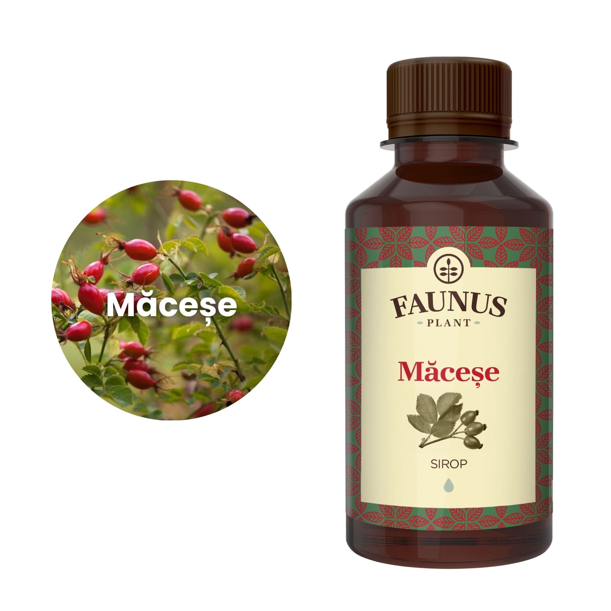 Imagine trunchiată într-o formă de cerc a ingredientului principal al suplimentului, și anume măceșele, în chenar alb, având în partea dreaptă flaconul de Sirop Măceșe 200 ml | Cantitate - 200ml