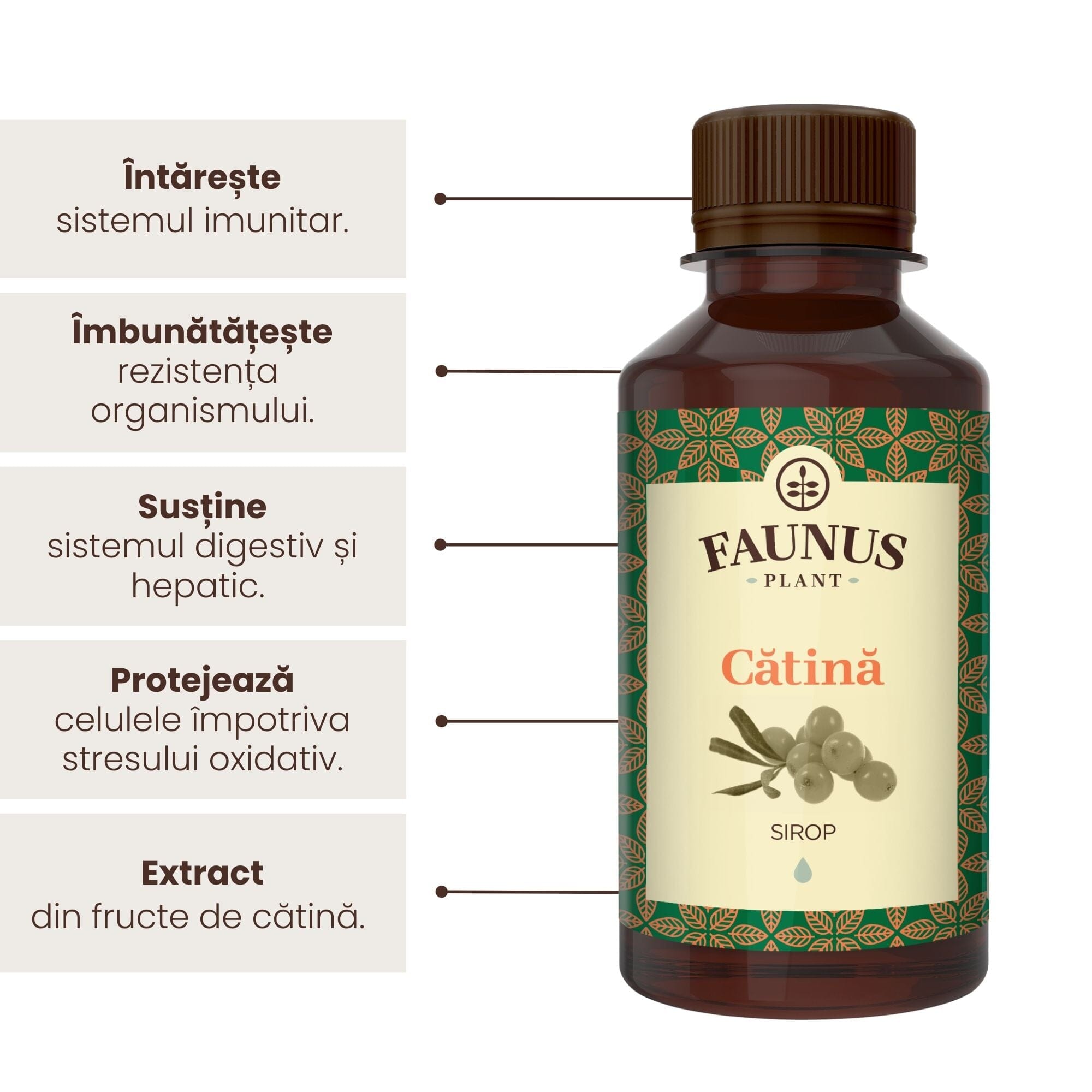 Sirop de Cătină 200ml de la Faunus Plant, alături de o listă de beneficii precum întărirea sistemului imunitar, îmbunătățirea rezistenței organismului, susținerea sistemului digestiv și hepatic, protejarea celulelor împotriva stresului oxidativ, precum și faptul că suplimentul are extract din fructe de cătină | Cantitate - 200ml