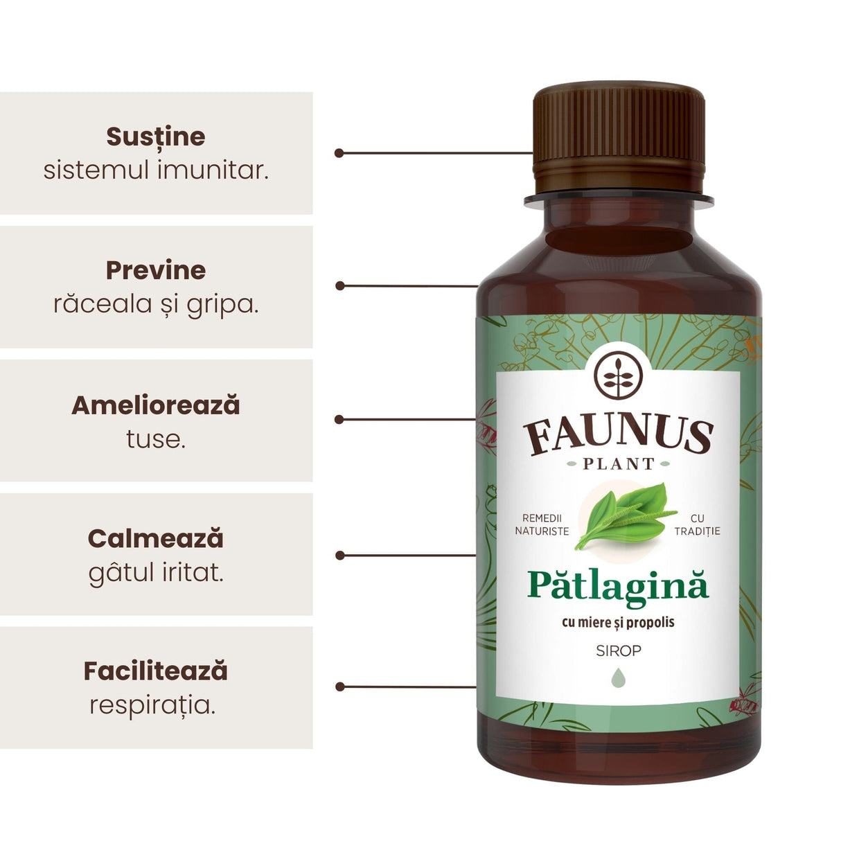 Sirop de Pătlagină cu Miere și Propolis 200ml de la Faunus Plant, alături de o listă de beneficii precum susținerea sistemului imunitar, prevenirea răcelii și a gripei, ameliorarea tusei, calmarea gâtului iritat, respectiv facilitarea respirației.