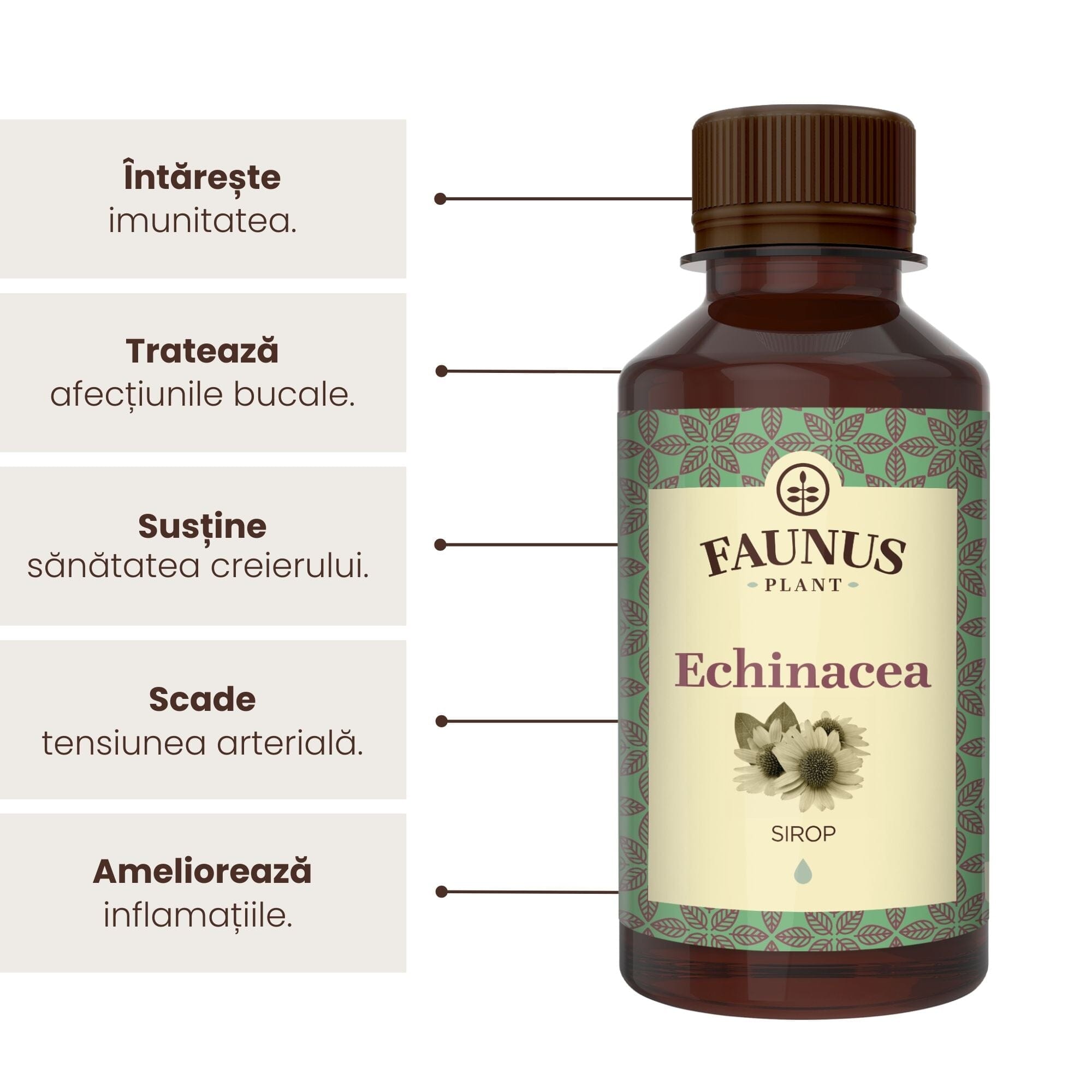 Sirop Echinacea 200ml de la Faunus Plant, alături de o listă de beneficii precum întărirea sistemului imunitar, tratarea afecțiunilor bucale, susținerea sănătății creierului, precum și menținerea tensiunii arteriale la nivel optim, dar și ameliorarea inflamațiilor. | Cantitate - 200ml