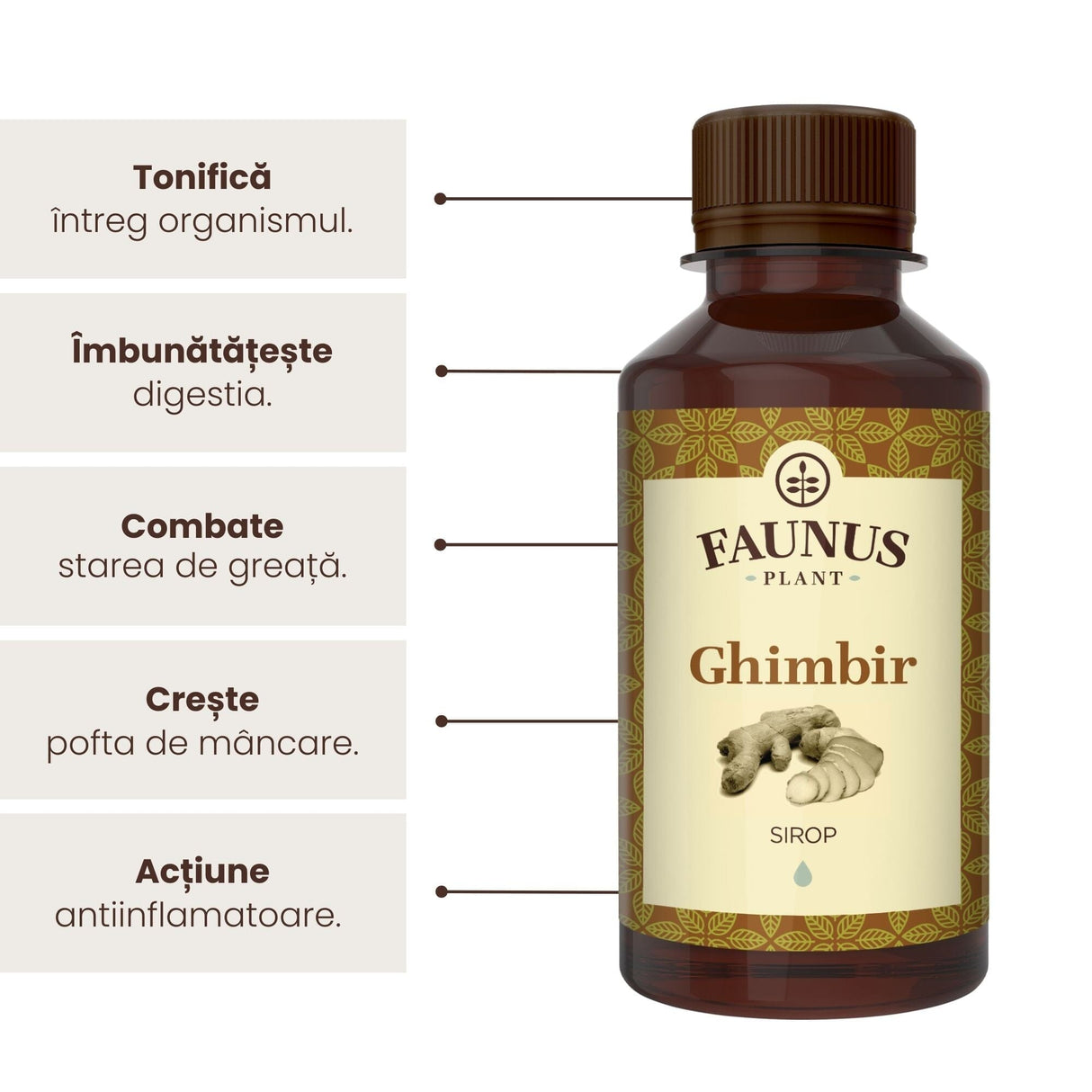 Sirop Ghimbir 200ml de la Faunus Plant, alături de o listă de beneficii precum tonifierea întregului organism, îmbunătățirea digestiei, combaterea stării de greață, creșterea poftei de mâncare precum și ameliorarea inflamațiilor.
