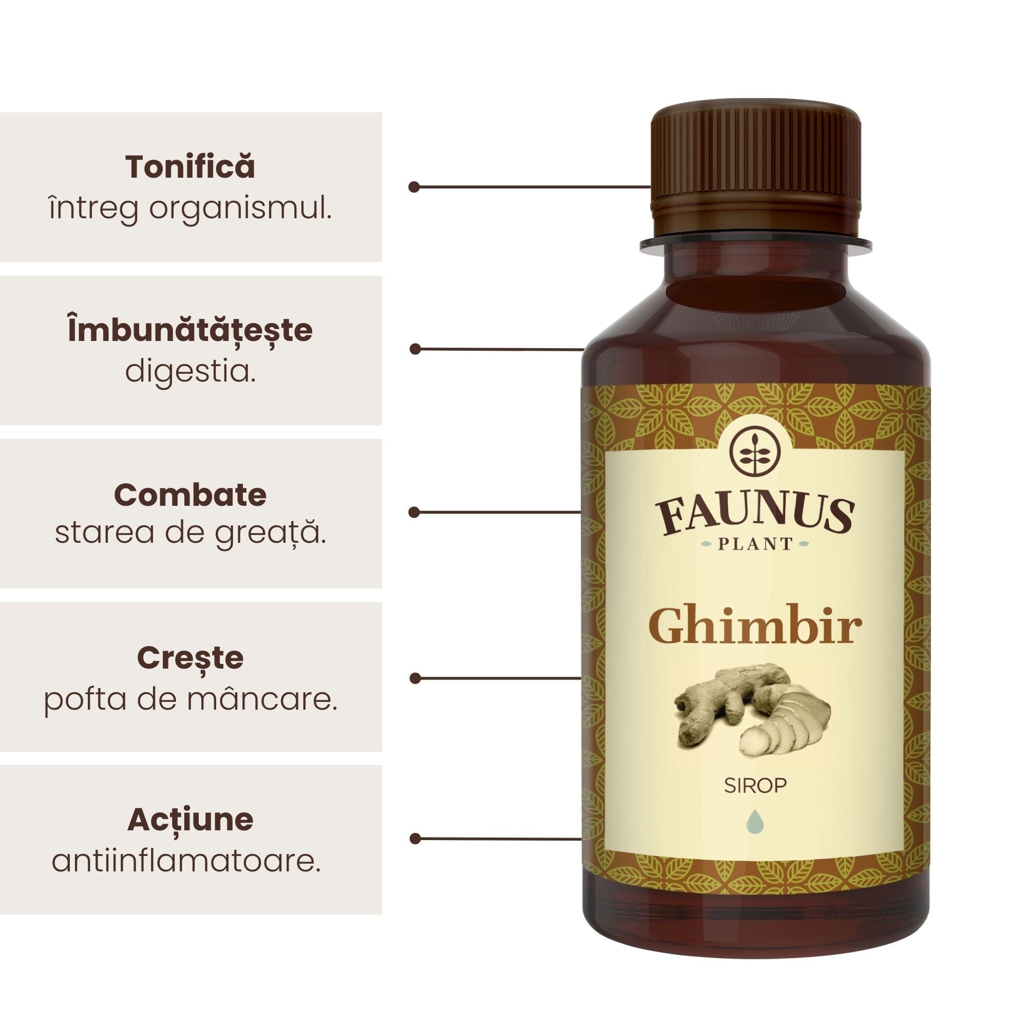 Sirop Ghimbir 200ml de la Faunus Plant, alături de o listă de beneficii precum tonifierea întregului organism, îmbunătățirea digestiei, combaterea stării de greață, creșterea poftei de mâncare precum și ameliorarea inflamațiilor. | Cantitate - 200ml