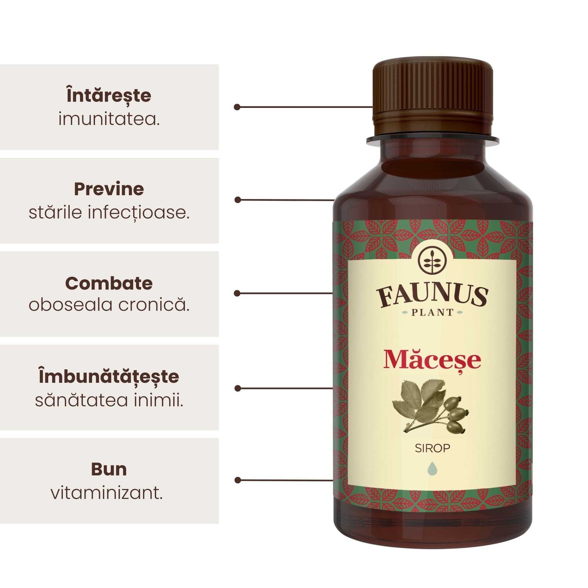 Sirop Măceșe de la Faunus Plant de 200 ml, alături de o listă de beneficii precum tonifierea întregului organism, îmbunătățirea imunității, prevenirea stărilor infecțioase,combaterea oboselii cronice, îmbunătățirea sănățății inimii precum și, în final, apare că e un bun vitaminizant.