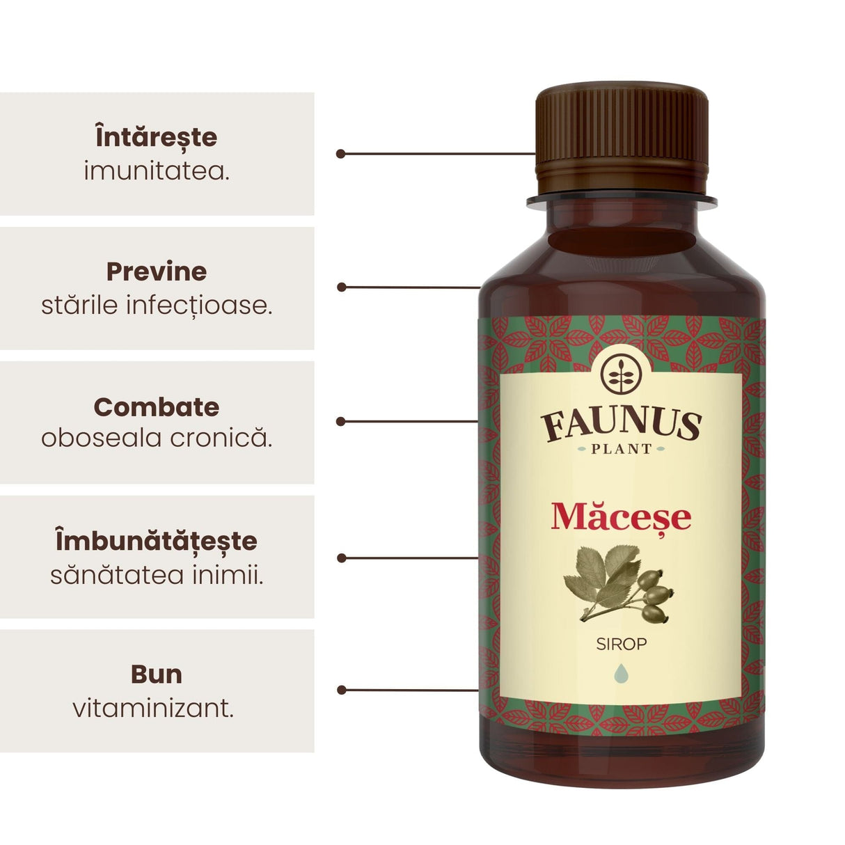 Sirop Măceșe de la Faunus Plant de 200 ml, alături de o listă de beneficii precum tonifierea întregului organism, îmbunătățirea imunității, prevenirea stărilor infecțioase,combaterea oboselii cronice, îmbunătățirea sănățății inimii precum și, în final, apare că e un bun vitaminizant.