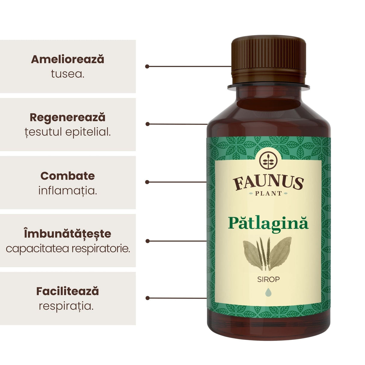Sirop de Pătlagină 200ml de la Faunus Plant, alături de o listă de beneficii precum ameliorarea tusei, regenerarea țesutului epitelial, combaterea inflamației,îmbunătățirea capacității respiratorii, și nu în ultimul rând facilitarea respirației.