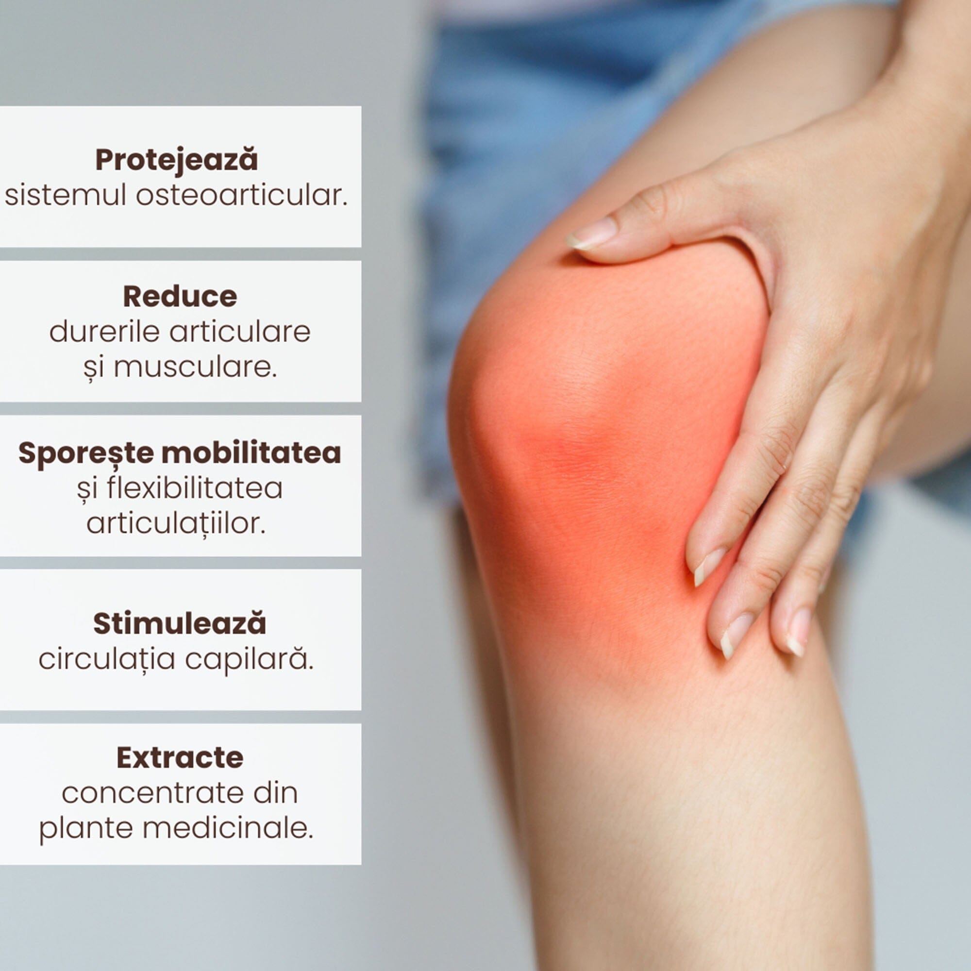 Grafică evidențiind beneficiile Pachetului pentru Sănătatea Articulațiilor și Oaselor de la Faunus Plant: protejarea sistemului osteoarticular, reducerea durerilor articulare și musculare, sporirea mobilității, stimularea circulației capilare și utilizarea extractelor concentrate din plante medicinale.