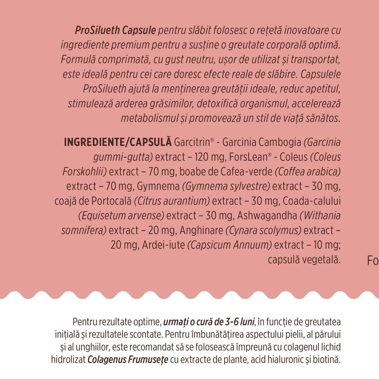 Prim-plan al etichetei cu ingredientele și beneficiile ProSilueth Capsule, subliniind efectele sale pentru menținerea greutății și detoxifiere, cât și recomandarea urmării unei cure de 3-6 luni și completarea curei cu Colagenus Frumusețe.