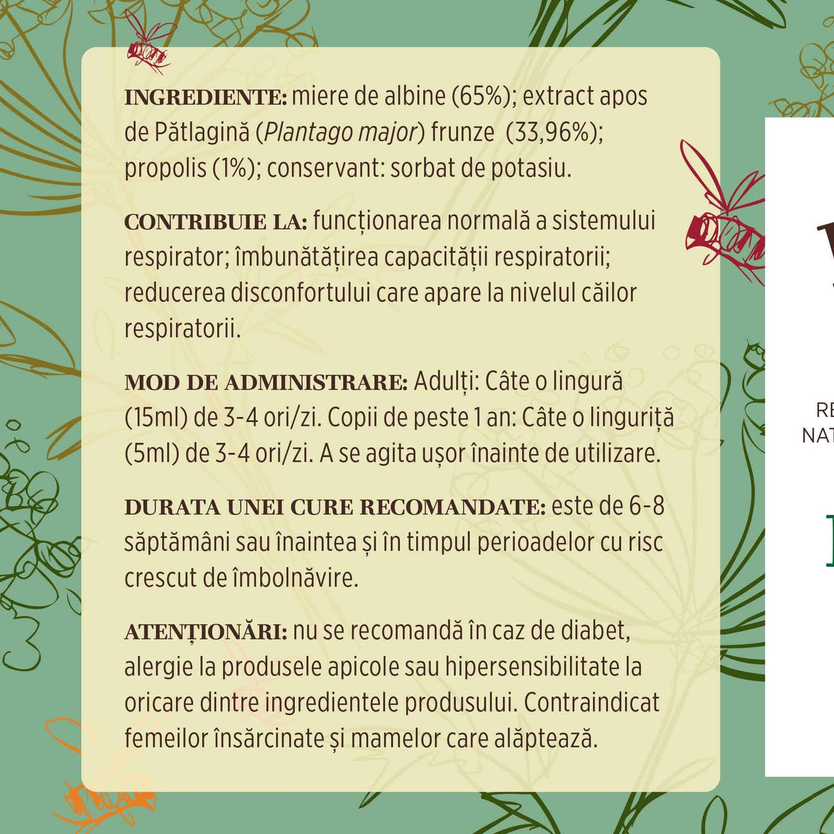 Eticheta desfășurată stânga cu ingredientele Sirop de Pătlagină cu Miere și Propolis 200ml, mod de administrare, durata unei cure recomandate și contraindicații pentru utilizatori.