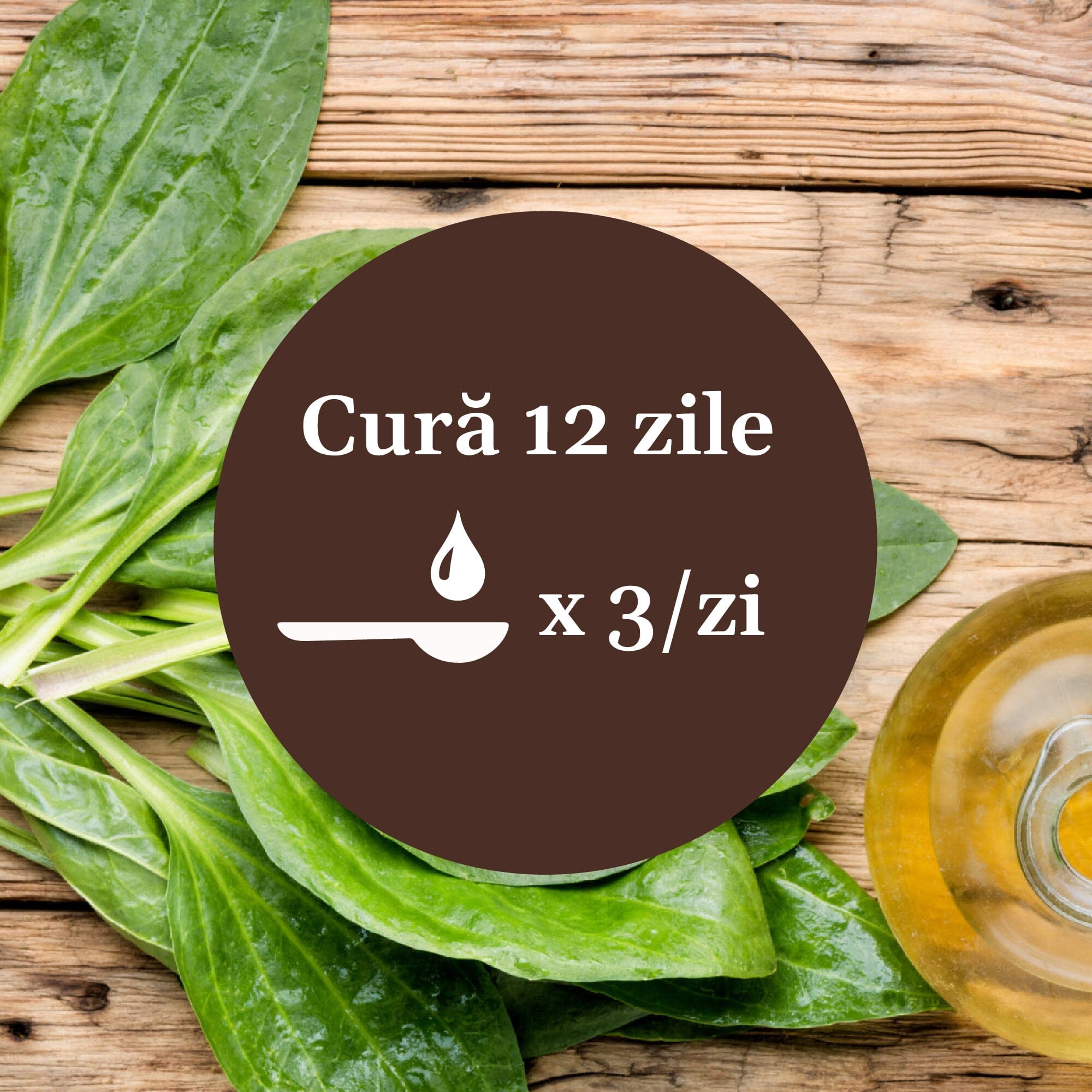 Imagine cu frunze de pătlagină pe o masă de lemn, cu un element grafic circular de culoare maro pe mijloc, cu text despre cura de 12 zile cu Sirop de Pătlagină cu Miere și Propolis 200ml, sugerând 1 linguriță de 3 ori pe zi.
