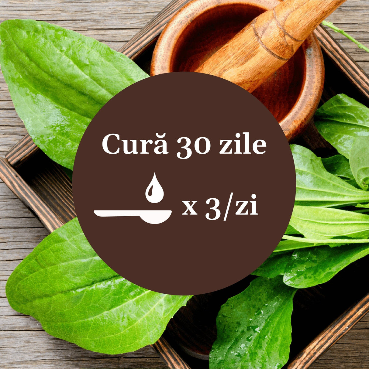 Imagine cu frunze de pătlagină într-un mojar de lemn, având un element grafic circular de culoare maro cu un text în mijloc despre cura de 30 de zile cu Sirop de Pătlagină 200ml, sugerând 1 linguriță de 3 ori pe zi.