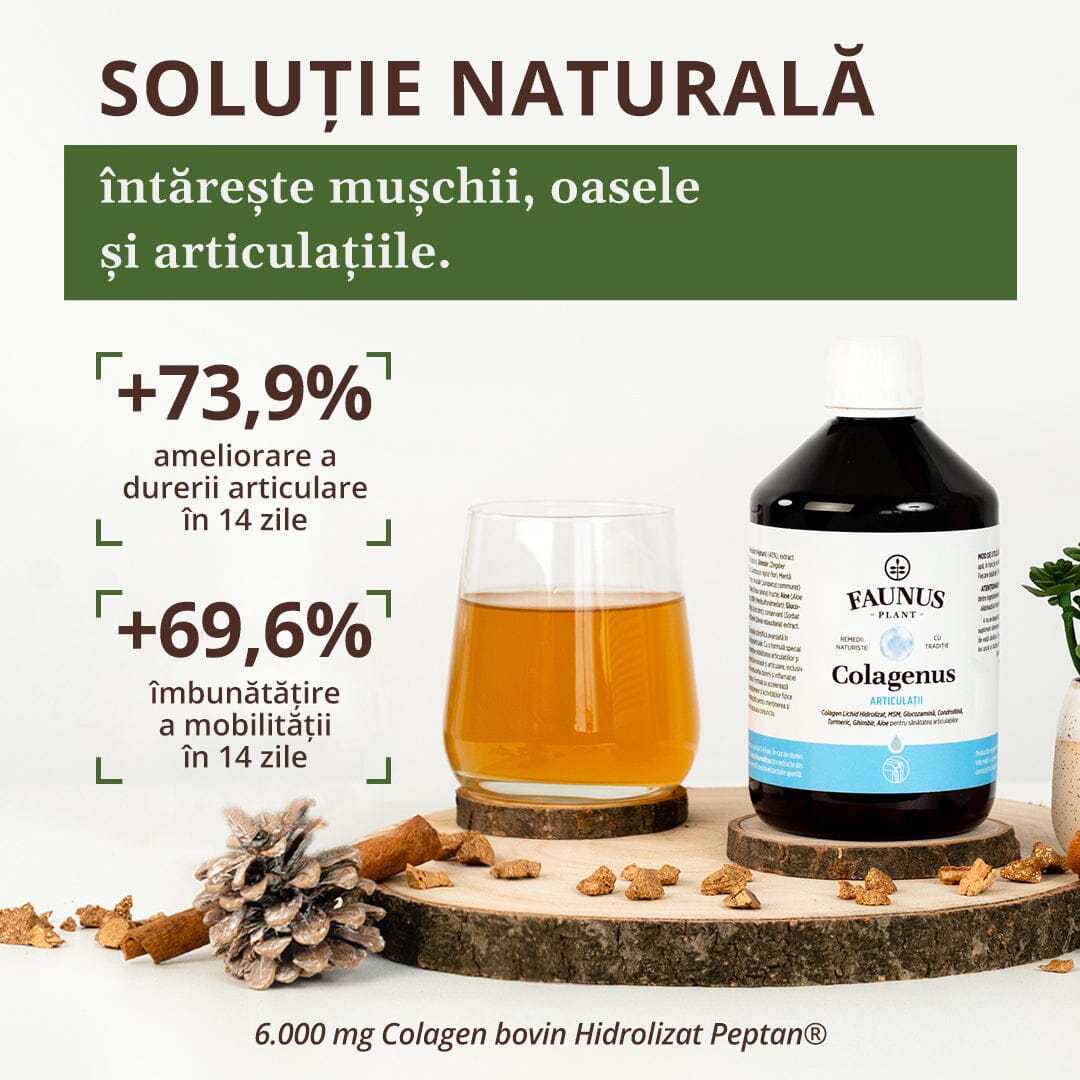 Colagenus Articulații - Colagen lichid. Flacon 500ml. Susține sănătatea articulațiilor, mușchilor și ligamentelor. Reduce durerile reumatice Supliment alimentar Faunus Plant