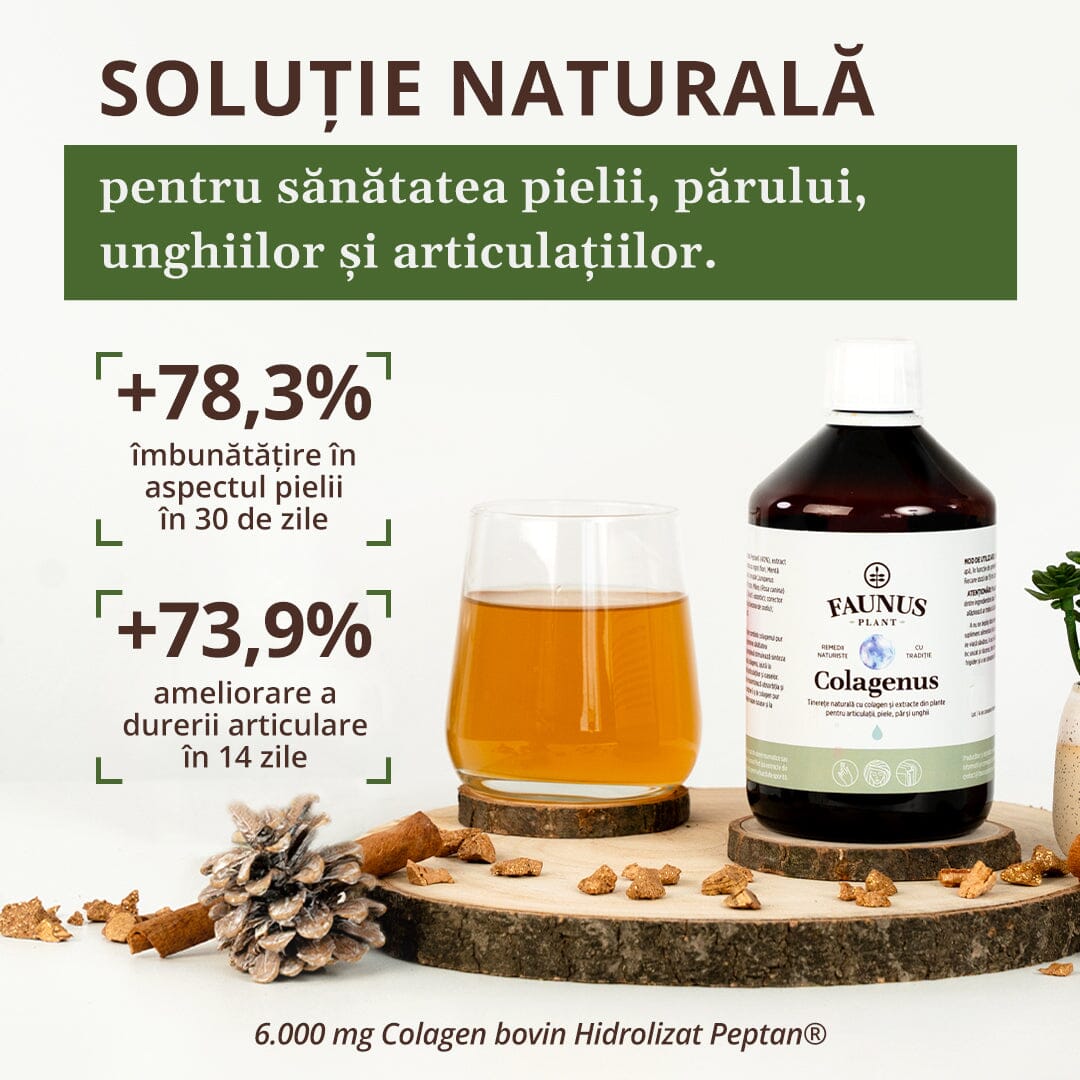 "Sticlă de Colagenus de la Faunus Plant și un pahar cu lichid pe fundal alb, pe o tavă în formă de scoarță de copac și un con de brad, alături de text informativ despre beneficiile clinice: +44,8% reducere a durerii musculare și +17,4% fermitate a pielii. Include mențiunea „6.000 mg Colagen bovin Hidrolizat Peptan®”.
"