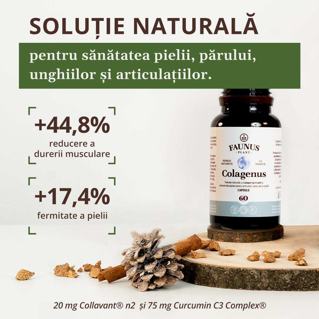 Flacon de Colagenus Capsule de la Faunus Plant, poziționat vertical pe un suport din lemn, alături de decoruri naturale. Textul evidențiază beneficiile clinice ale formulei: reducerea durerii musculare cu 44,8% și creșterea fermității pielii cu 17,4%. În partea de jos este menționată concentrația ingredientelor active: 20 mg Collavant® n2 și 75 mg Curcumin C3 Complex®.