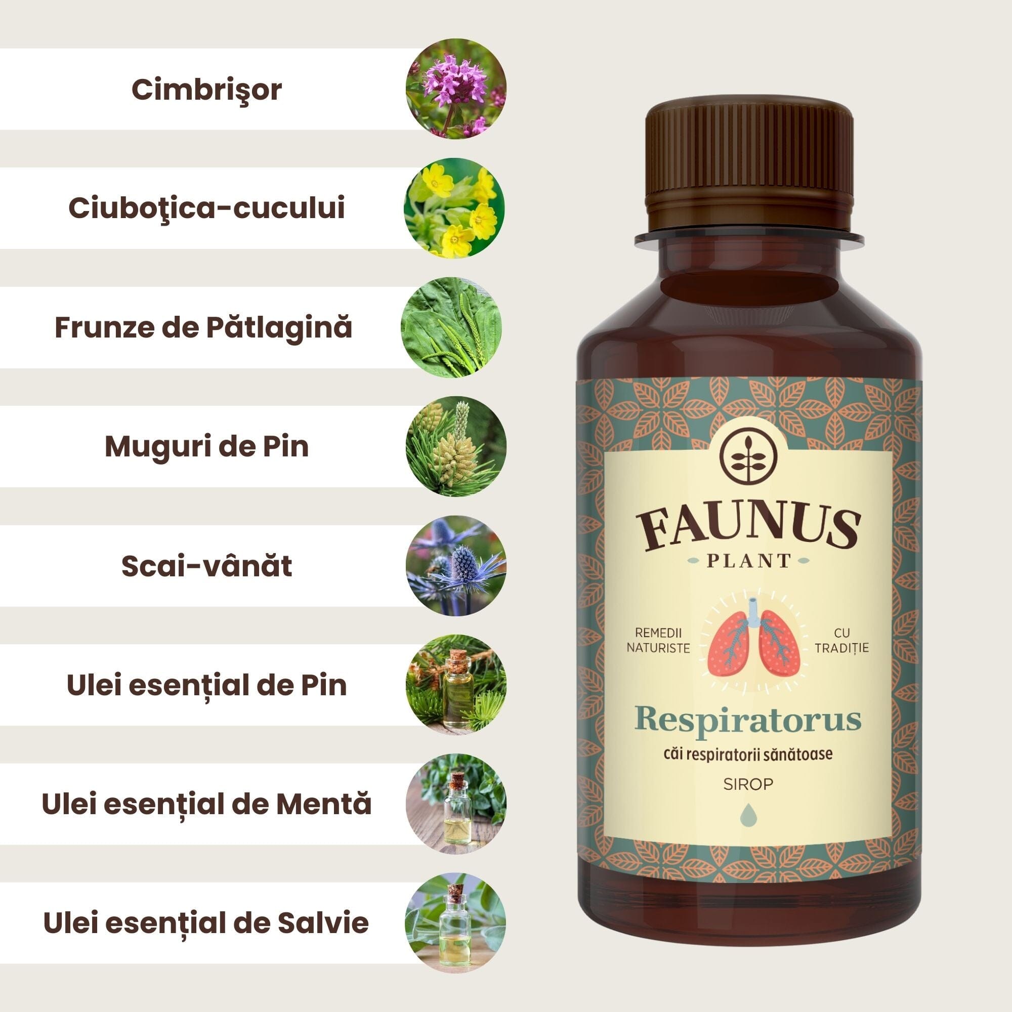 Prim-plan al flaconului de Sirop Respiratorus 200ml, având în partea stângă ingredientele listate grafic cu imagini reprezentative tip medalion, precum cimbrișorul, ciuboțica-cucului, frunze de pătlagină, muguri de pin, scai-vânat, ulei esențial de pin, ulei esențial de mentă, ulei esențial de salvie.