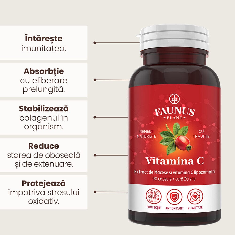 Vitamina C lipozomală cu măceșe - Concentrație mare de vitamina C pentru imunitate, absorbție fier și producerea de colagen - 90 Capsule Supliment alimentar Faunus Plant