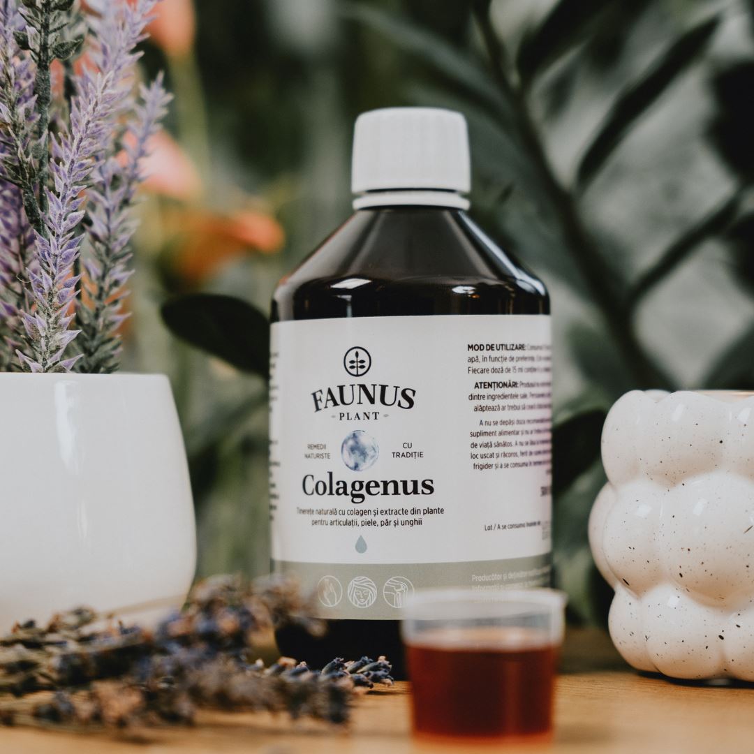 Flacon de Colagenus 500ml de la Faunus Plant cu capac cu dozator care conține 15ml colagen lichid, așezat pe o masă, alături de un ghiveci cu lavandă și alte elemente decorative pe fundal cu mostra de produs în față.