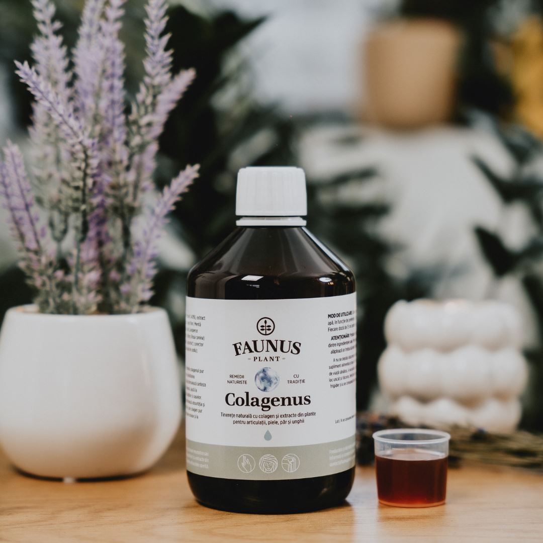 Flacon de Colagenus 500ml de la Faunus Plant cu capac cu dozator care conține 15ml colagen lichid, așezat pe o masă, alături de un ghiveci cu lavandă și alte elemente decorative pe fundal.