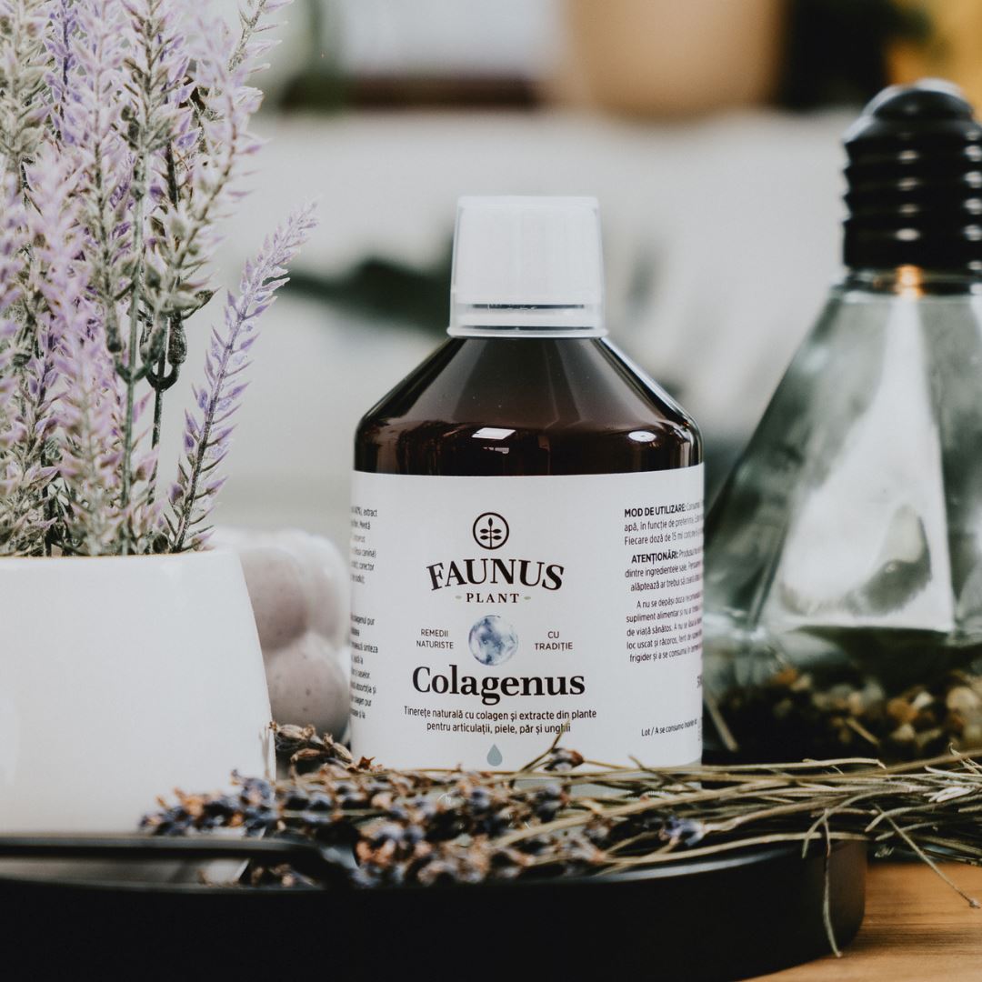 Flacon de Colagenus 500ml de la Faunus Plant cu capac cu dozator care conține 15ml colagen lichid, într-un cadru ambiental, alături de un ghiveci cu lavandă și alte elemente decorative.