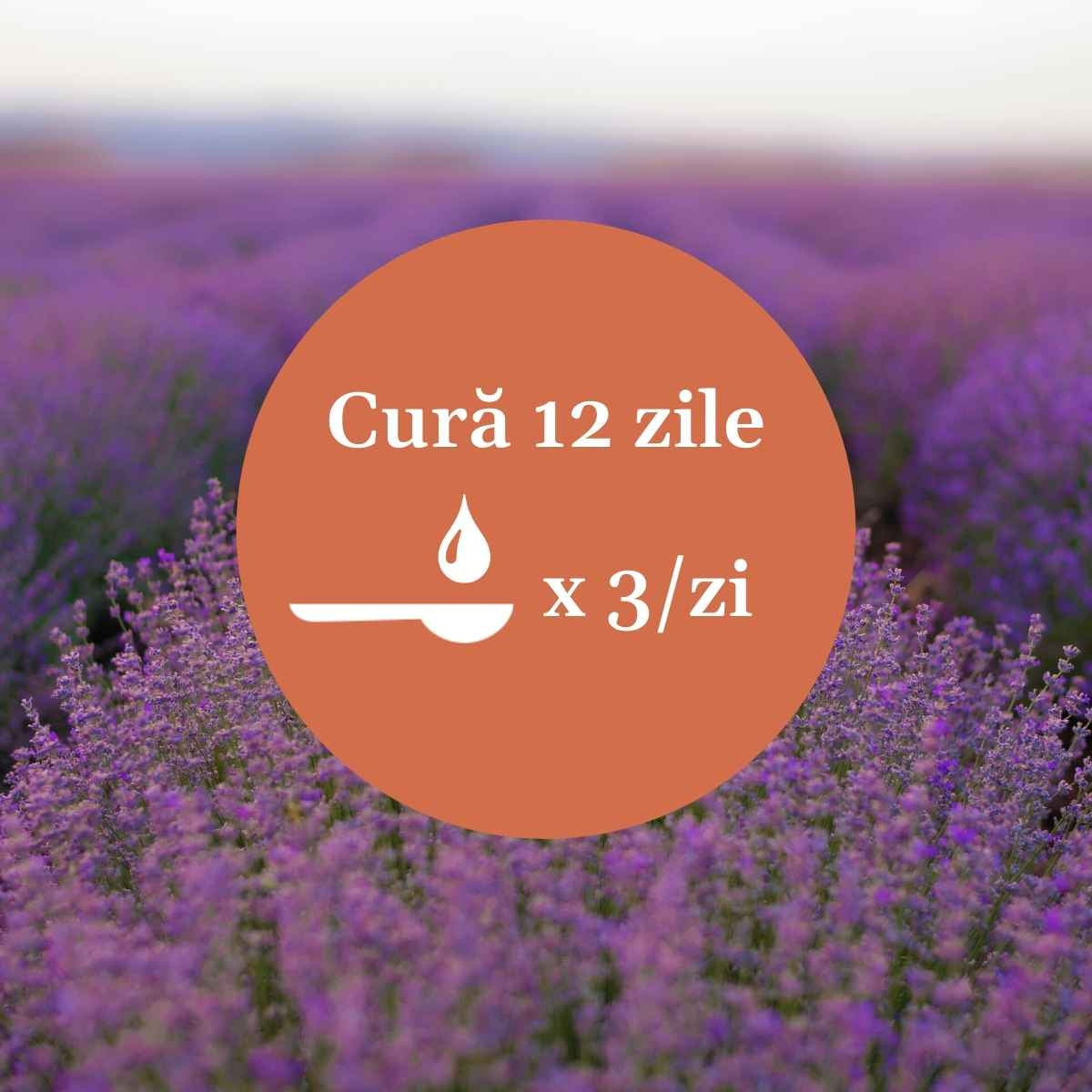 Bitter 30 plante 200ml Cosmetics Faunus Plant Ro