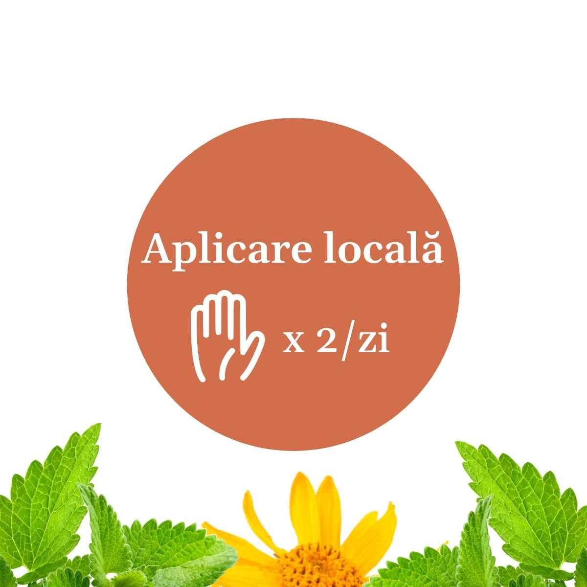 Element grafic circular afișat pe mijloc cu un text despre modul de aplicare al unguentului Reumaticus, sugerând 2 aplicări locale pe zi.