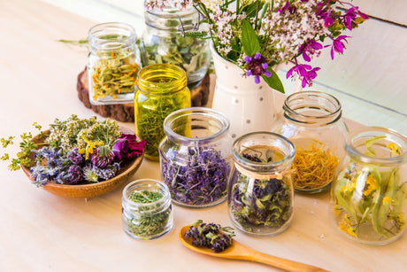 Plante medicinale perfecte pentru vară