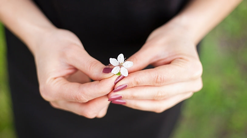 Astenia de primăvară: 3 plante medicinale care te pun pe picioare