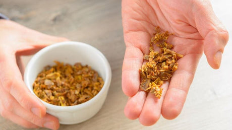 Propolisul, Cel Mai Bun Prieten Al Gatului