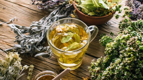 Leacuri Bătrânești Pentru Aciditate La Stomac