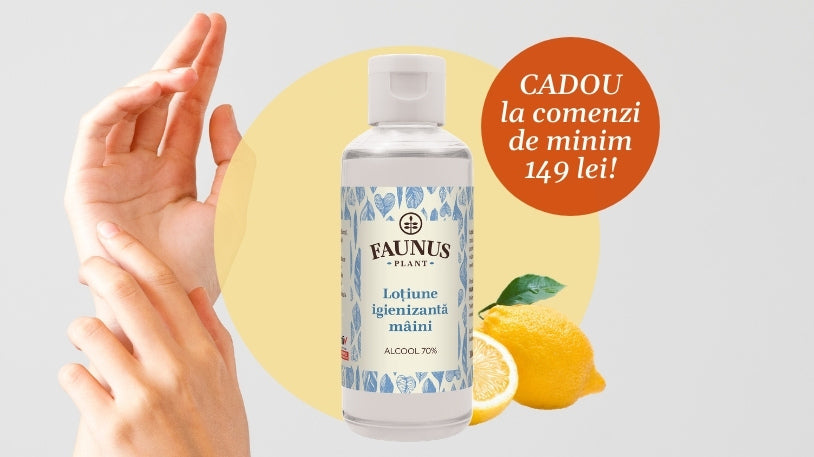 Cadoul Lunii Noiembrie – Protecție și blândețe cu Loțiunea Igienizantă pentru mâini 100 ml!