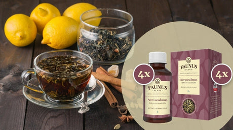 Cum tratezi depresiile, insomniile, stresul și anxietatea natural?