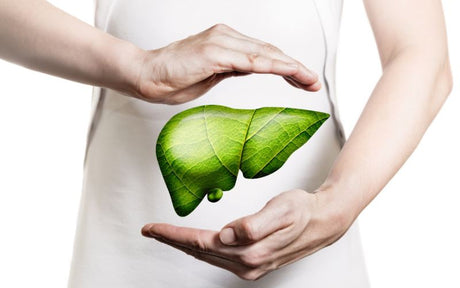 Fierea: ce este și care este rolul său?