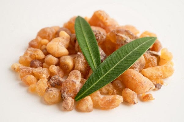 Boswellia: beneficii pentru articulații și cum poate ajuta în durerile reumatice
