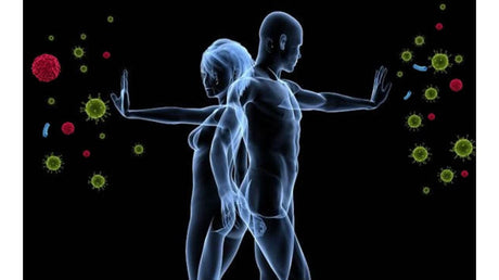 Sistemul imunitar pe înțelesul tuturor: ce este și cum funcționează?
