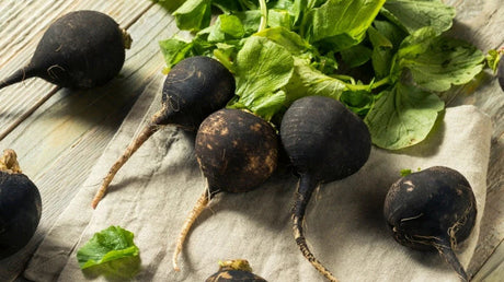 Leacuri Din Bătrâni Pentru Tuse Care Funcționează