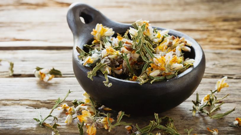 Descoperă rețete tradiționale de ceaiuri din plante aromate