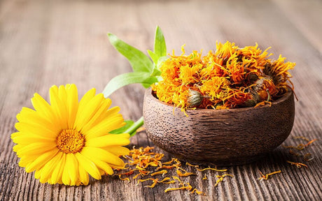 La ce sunt bune gălbenelele? – Utilizări terapeutice și culinare